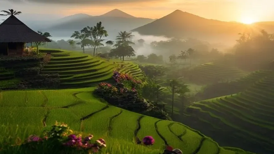 Aerial photograph of Ubud rice terraces illustrating Ubud Bali property investment guide 2026