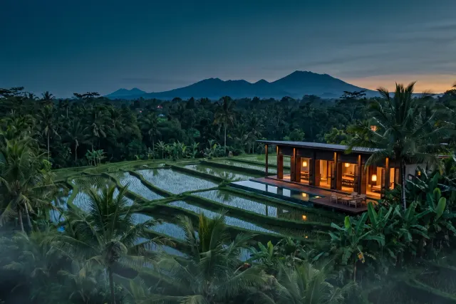 Ubud rice terraces at first light with mist and emerald paddies