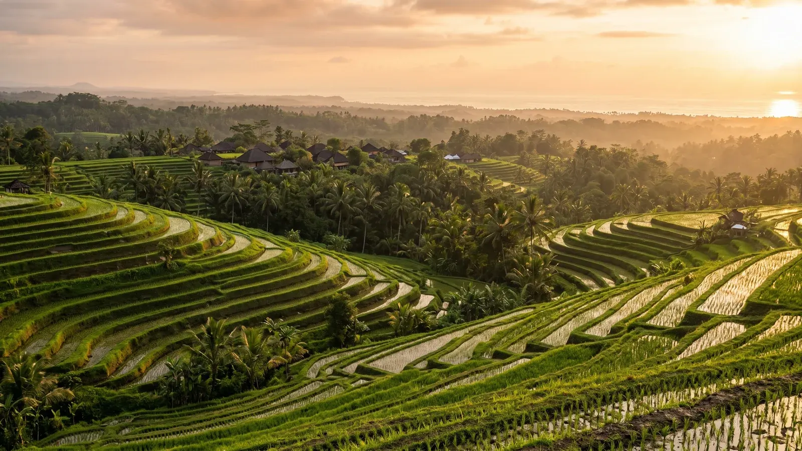 Photograph of Tabanan rice terraces illustrating Tabanan investment 2026